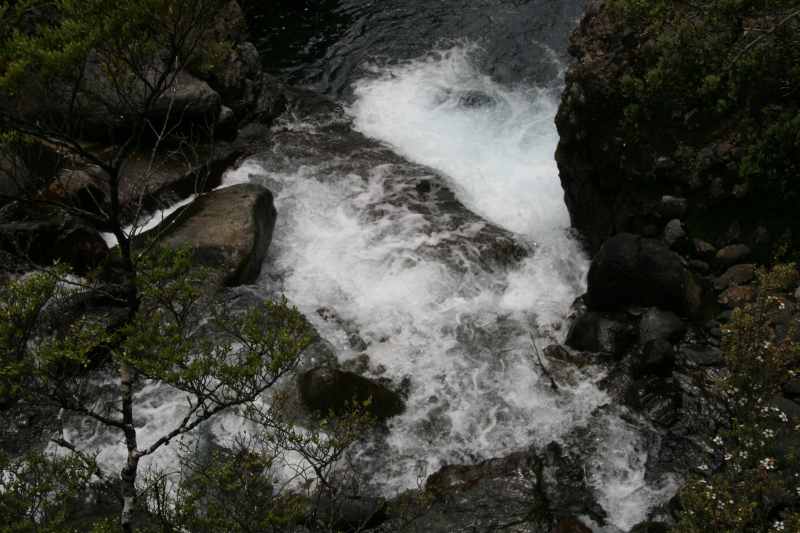 Nieuw-Zeeland 2011 - 0839